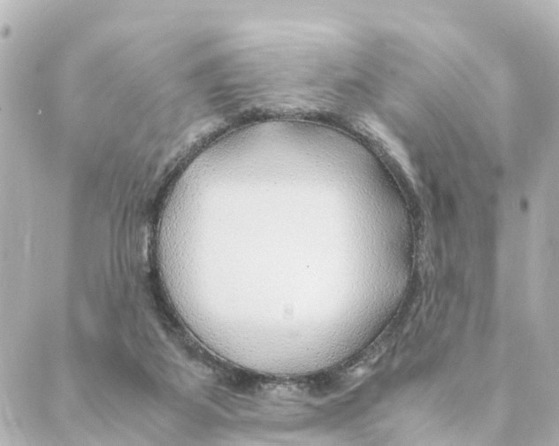 X0000088620115200706221505