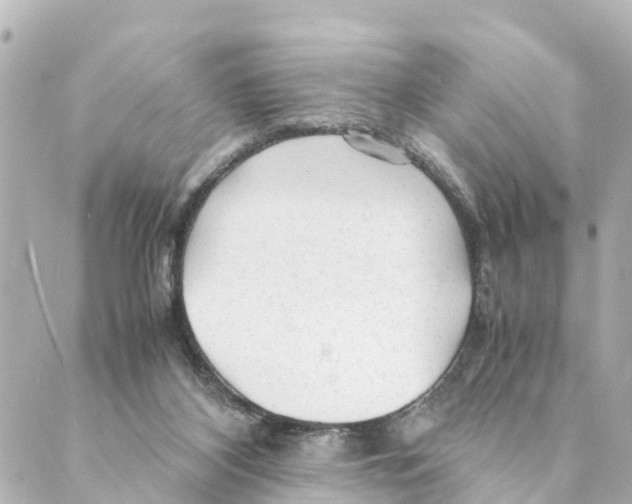 X0000088620116200706221505