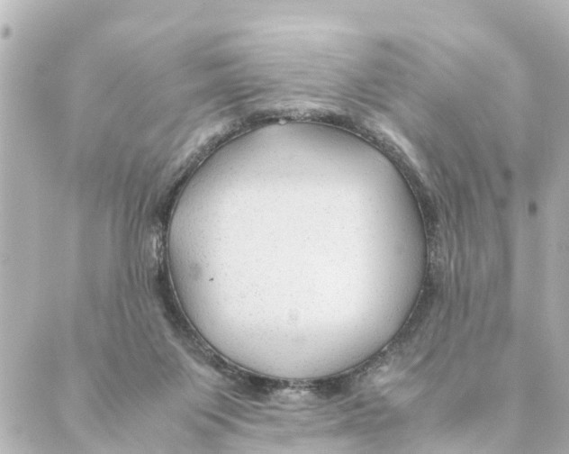 X0000088620119200706221505