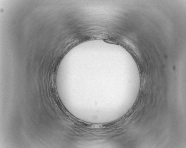 X0000088620121200706221505