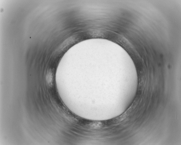 X0000088620124200706221505