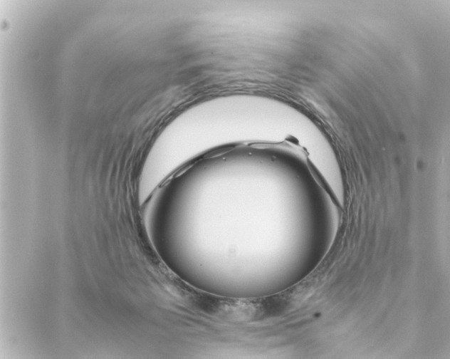 X0000088620125200706221505