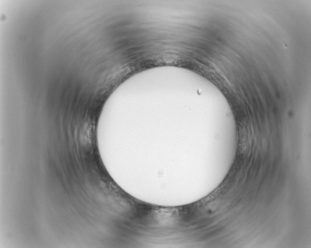 X0000088620126200706221505