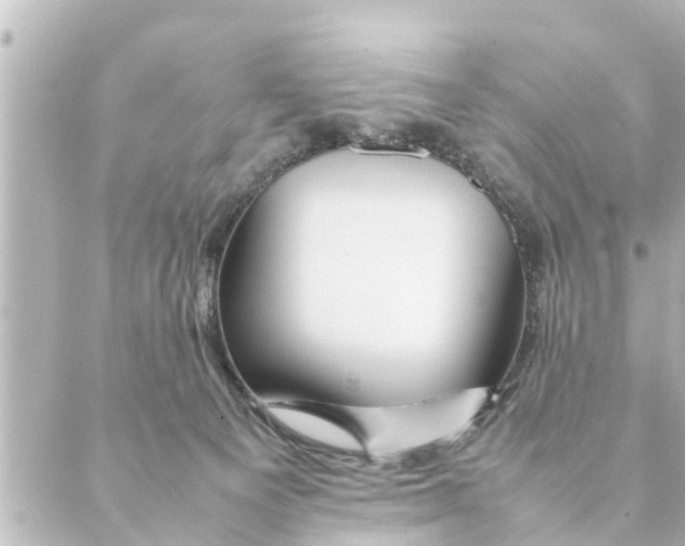 X0000088620129200706221505