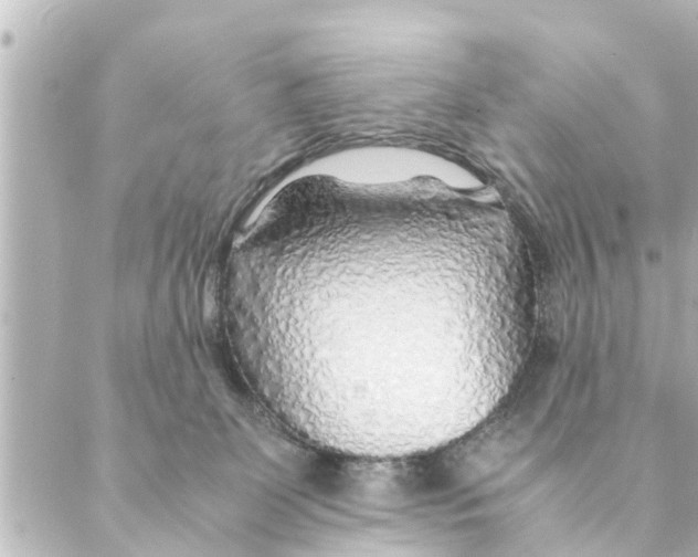 X0000088620131200706221505