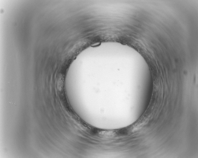 X0000088620133200706221505