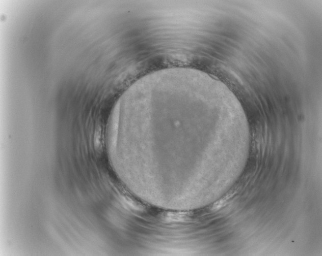 X0000088620134200706221505