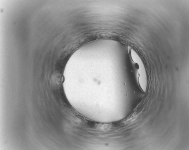 X0000088620135200706221505