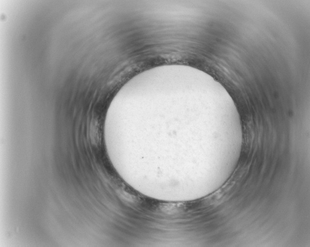 X0000088620136200706221505