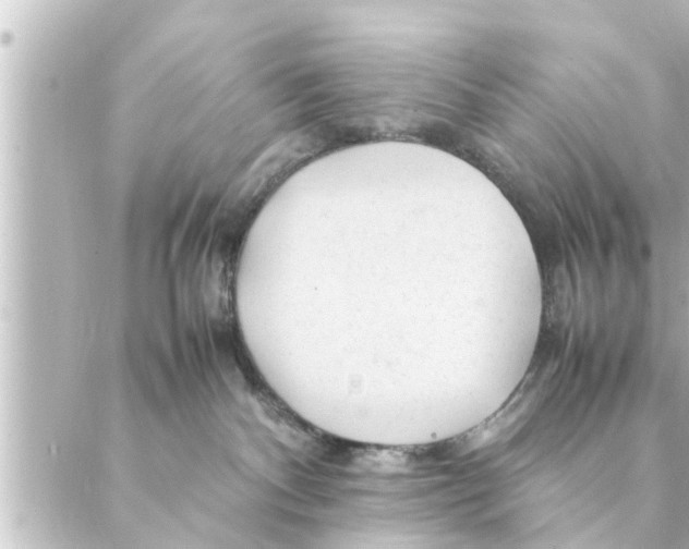 X0000088620140200706221505