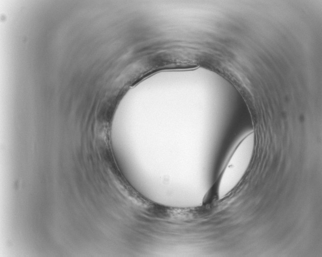 X0000088620141200706221505