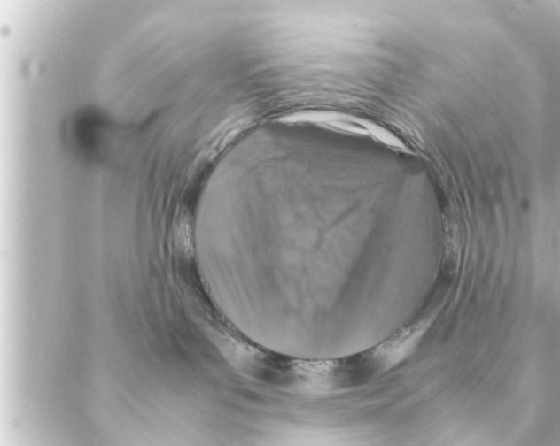 X0000088620143200706221505