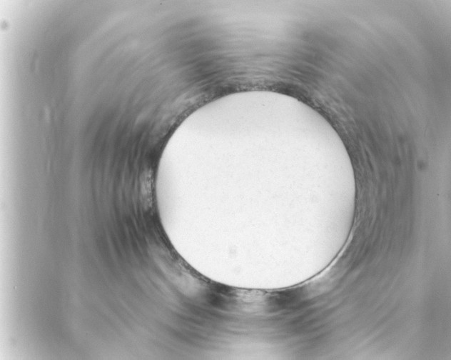 X0000088620144200706221505