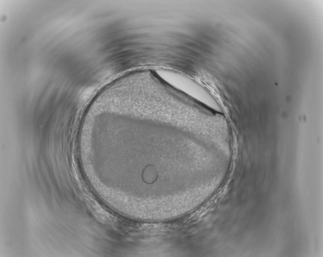 X0000088620145200706221504