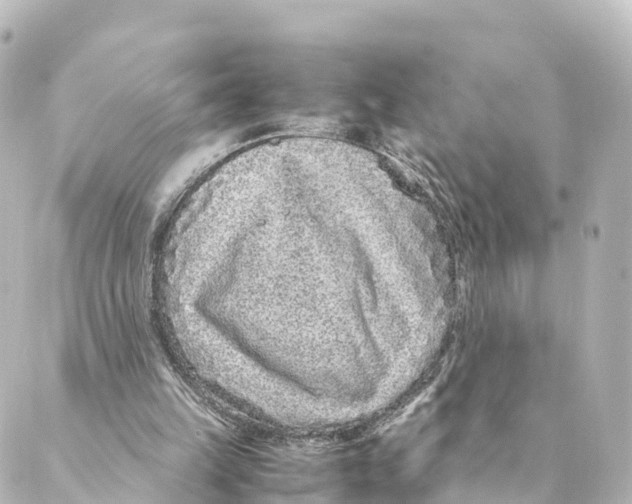 X0000088620149200706221504