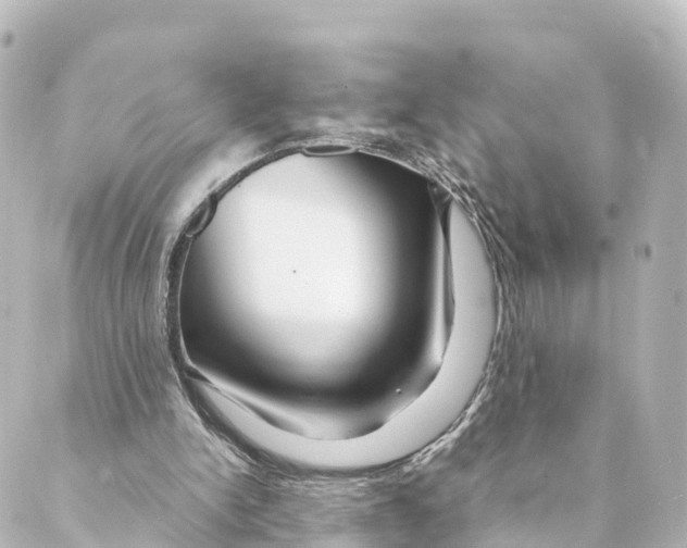 X0000088620150200706221504