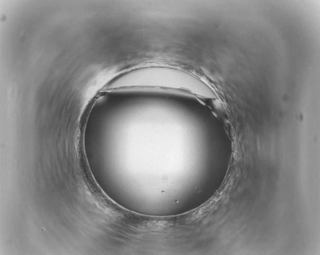 X0000088620152200706221504