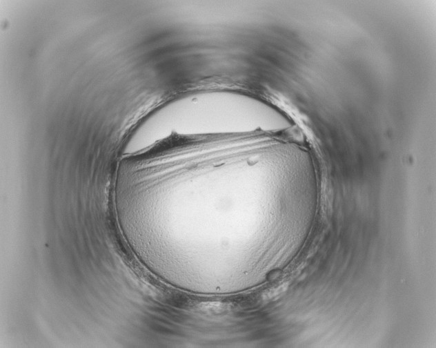 X0000088620153200706221504