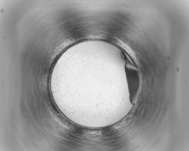 X0000088620155200706221504