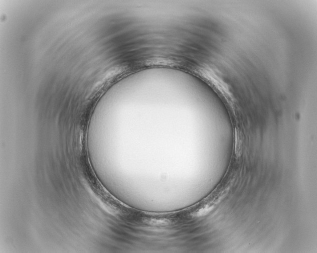 X0000088620157200706221504