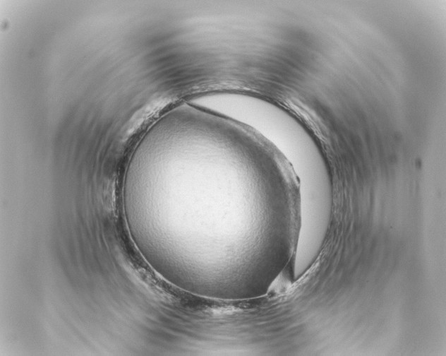 X0000088620158200706221504