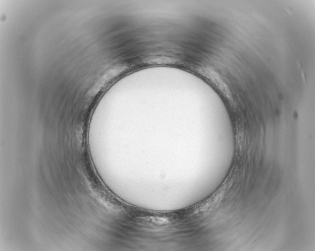 X0000088620159200706221504