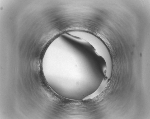 X0000088620160200706221504