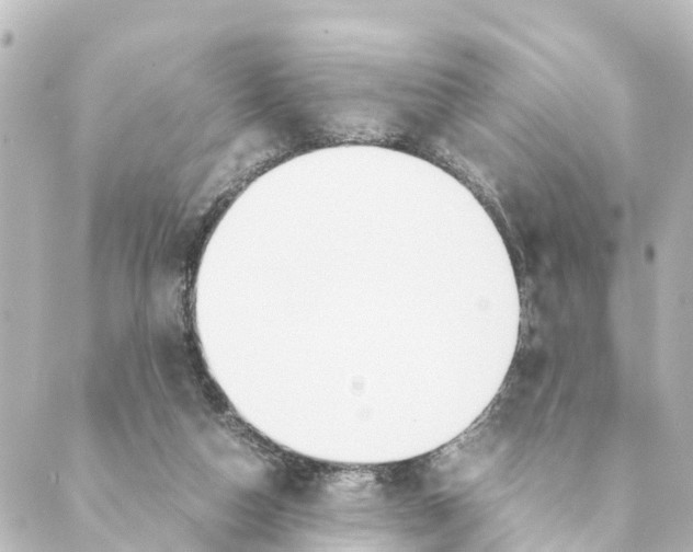 X0000088620162200706221504