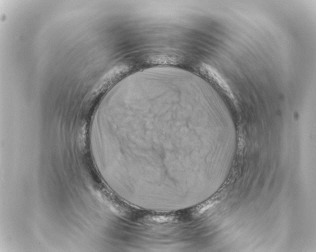 X0000088620163200706221504