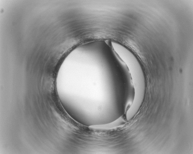 X0000088620164200706221504