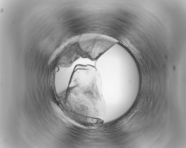 X0000088620165200706221504