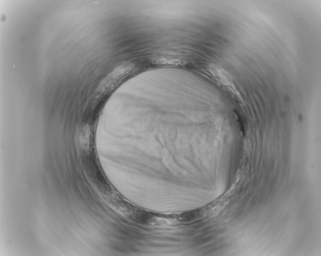 X0000088620167200706221504