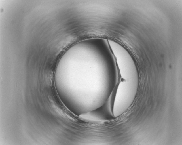 X0000088620168200706221504