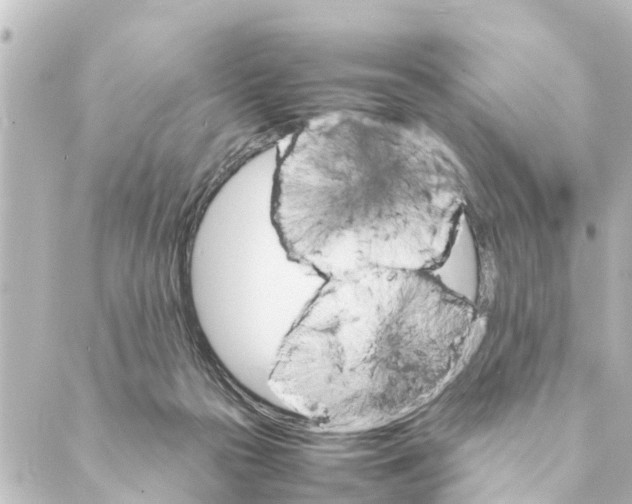 X0000088620169200706221504