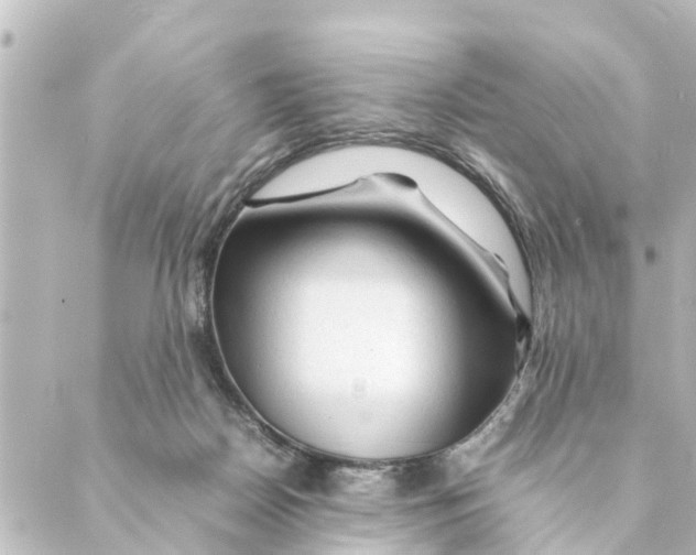 X0000088620170200706221504