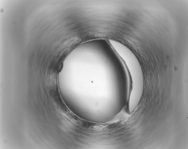 X0000088620172200706221504