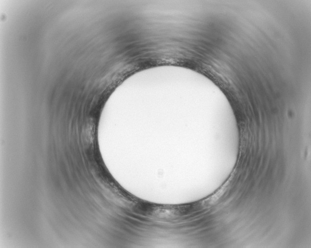 X0000088620174200706221504