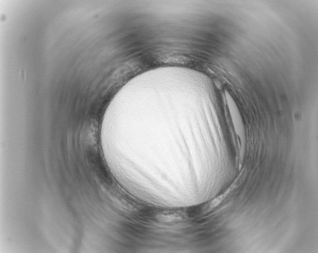 X0000088620175200706221504