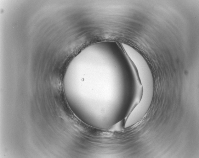 X0000088620176200706221504