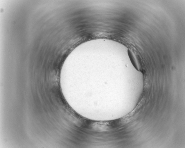 X0000088620179200706221504