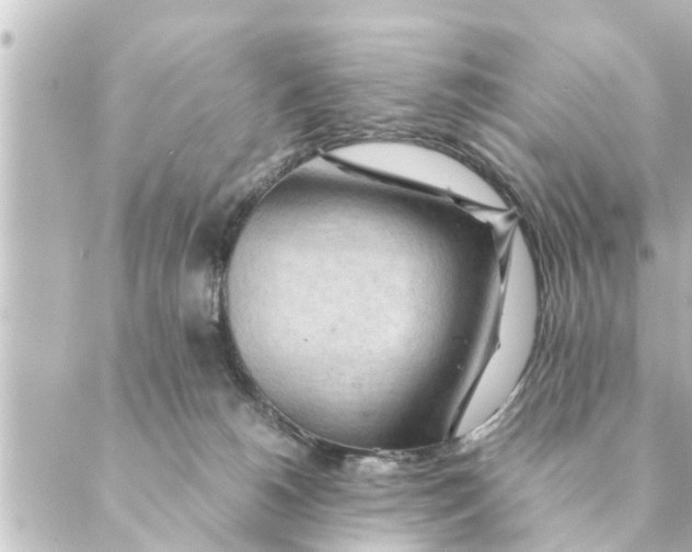 X0000088620180200706221504