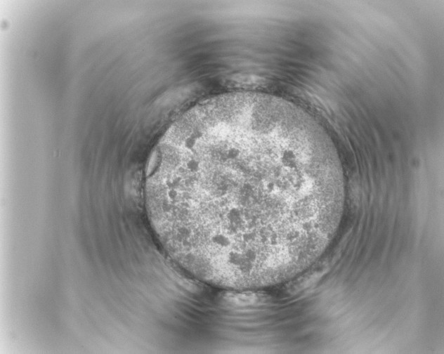 X0000088620181200706221504