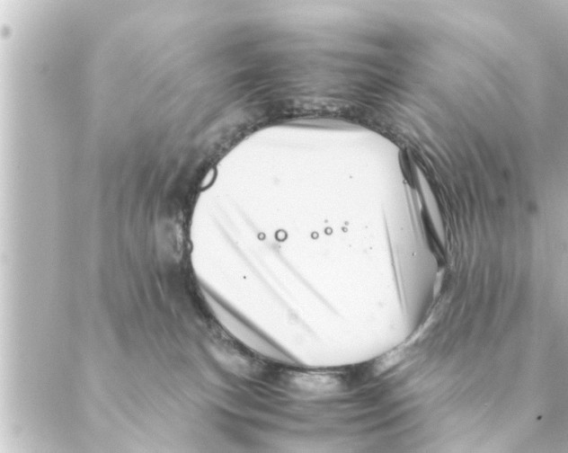 X0000088620183200706221504