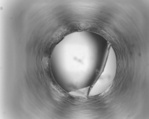 X0000088620184200706221505