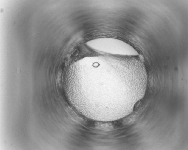 X0000088620185200706221505