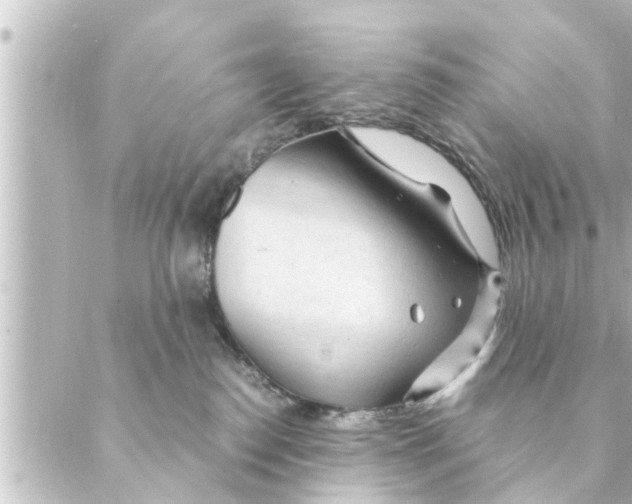 X0000088620186200706221505