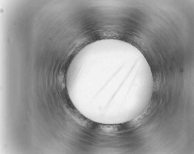 X0000088620187200706221505