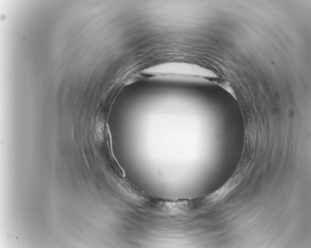 X0000088620188200706221505