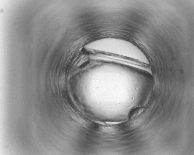 X0000088620189200706221505