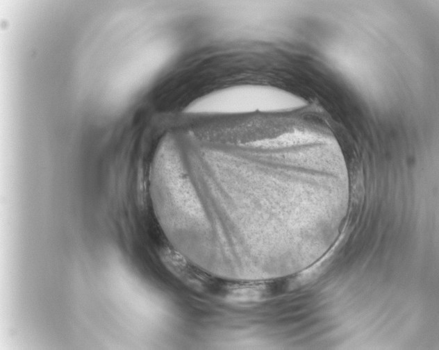 X0000088620191200706221505